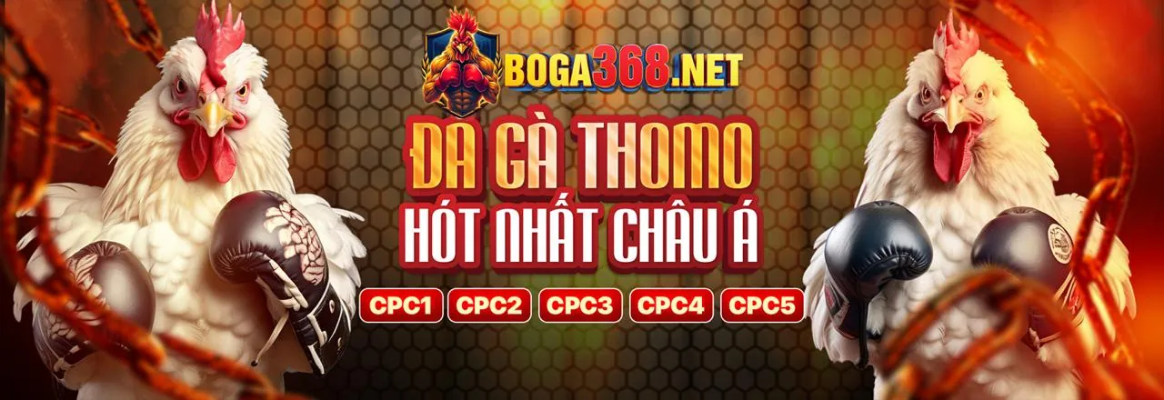 Hướng dẫn toàn diện về trang chủ chính thức K8CC