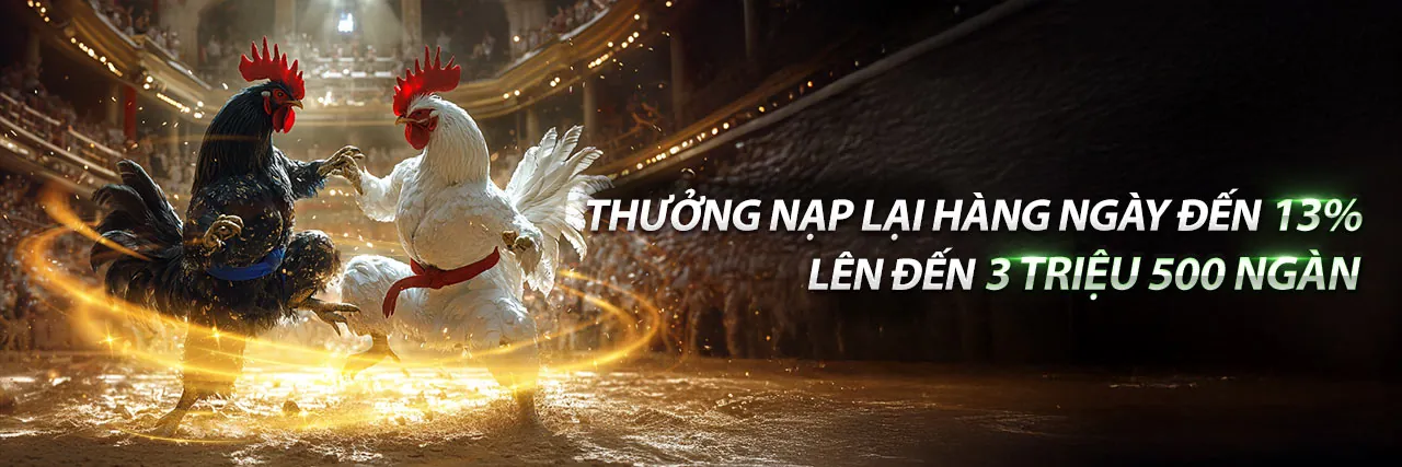 Đá Gà Trực Tuyến K8CC 2026 - Trang Chủ Chính Thức Cá Cược & Ưu Đãi